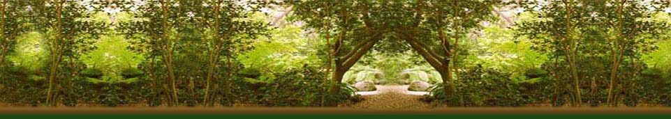 Relax . . . .  Create a smile on your face . . . . then Enter your Reiki Wellness Sanctuary . . . . Remember this feeling